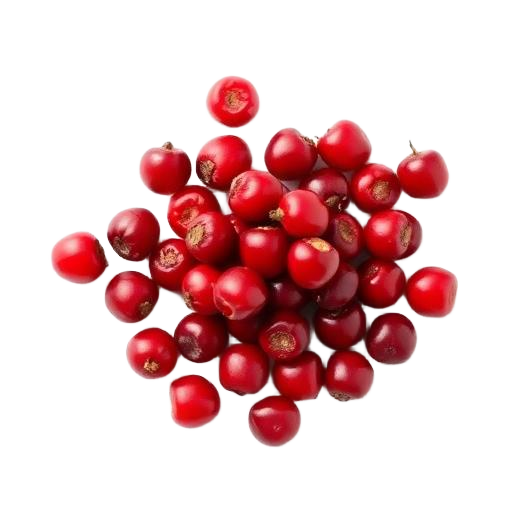 Jujube Seed Extract